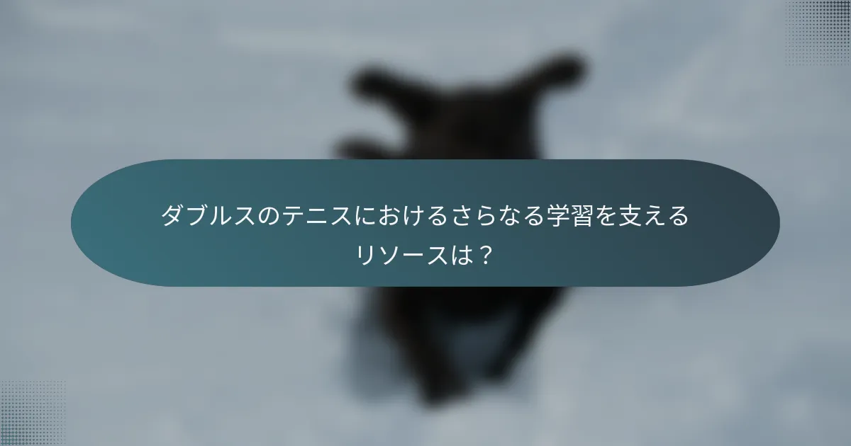 ダブルスのテニスにおけるさらなる学習を支えるリソースは？