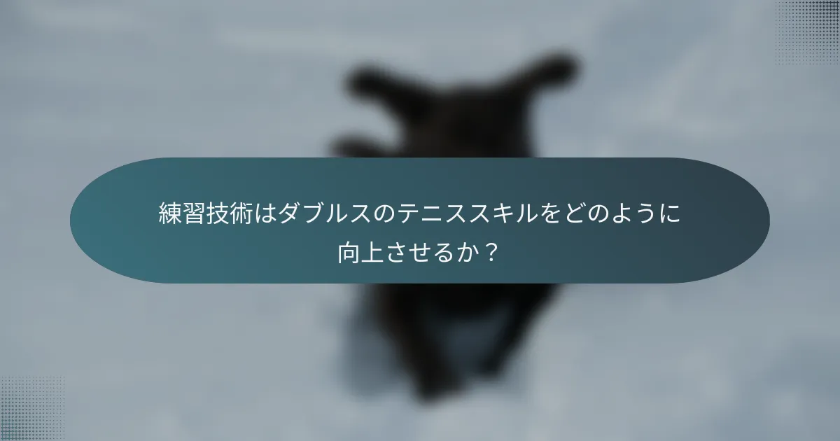 練習技術はダブルスのテニススキルをどのように向上させるか？